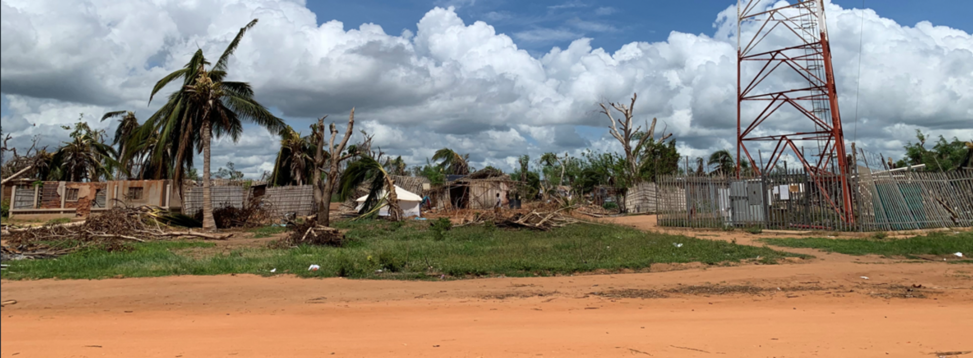 Palmeras derribadas en Mecufi, Cabo Delgado, Mozambique