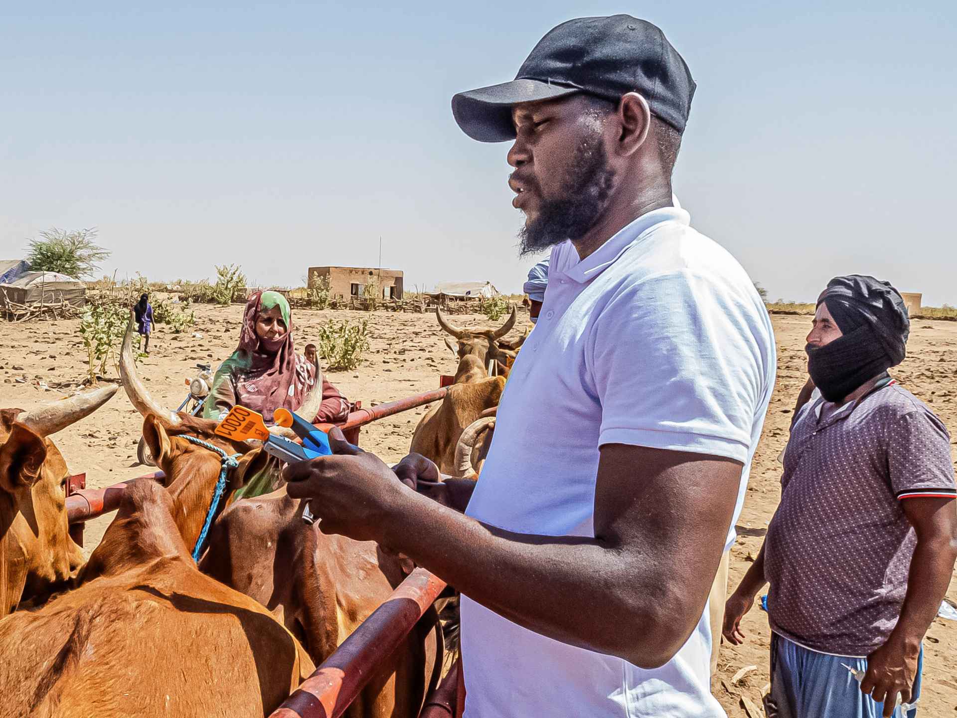 Mauritanie