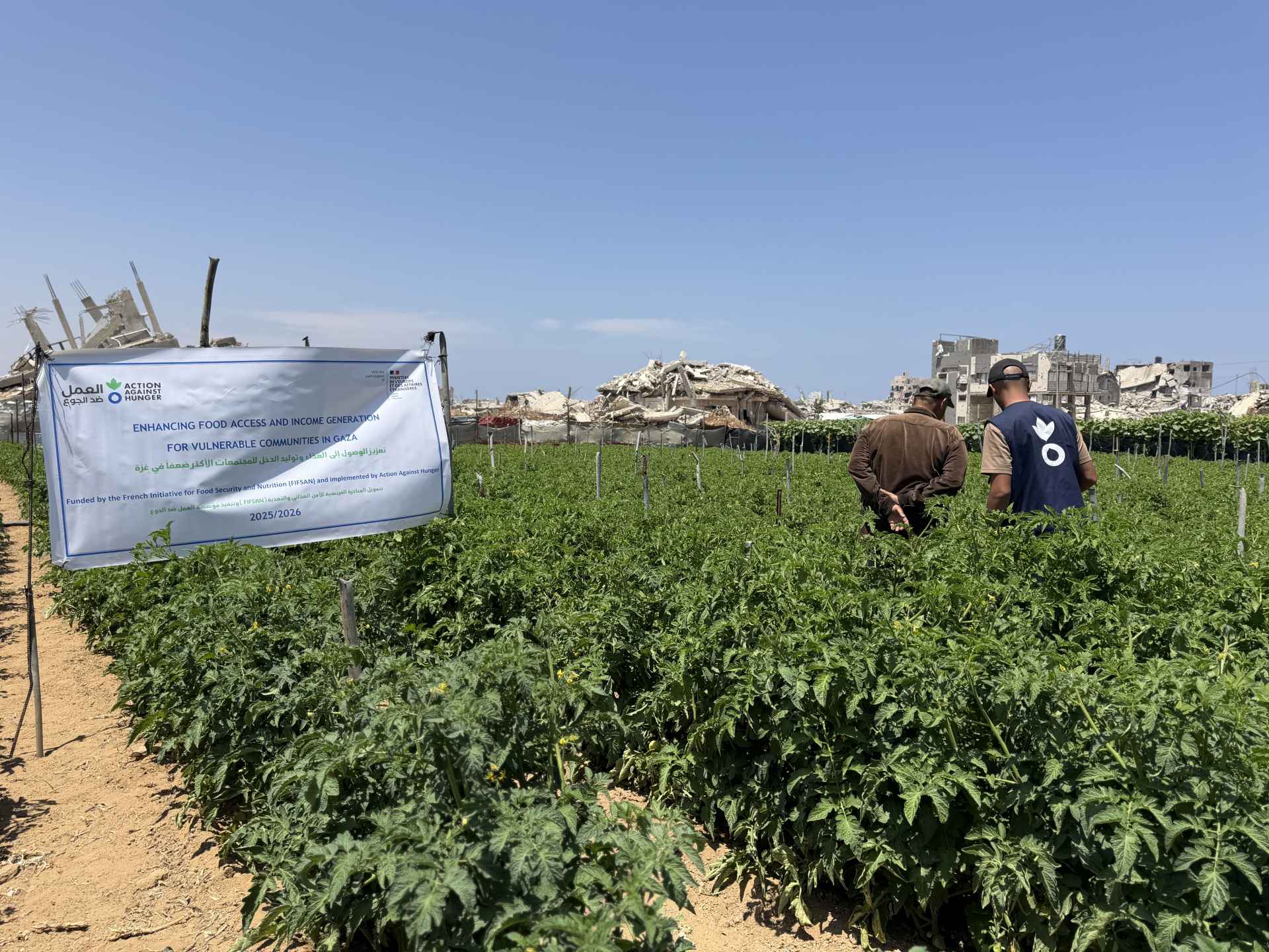 Trabajo de Acción contra el Hambre con agricultores en Gaza