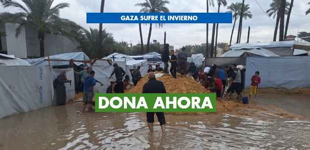 Gaza_banner web