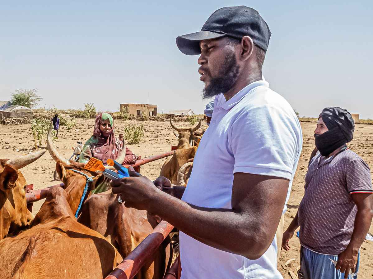Mauritanie